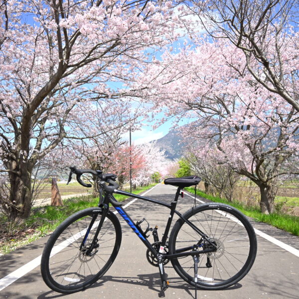 Cycling IBARAKI